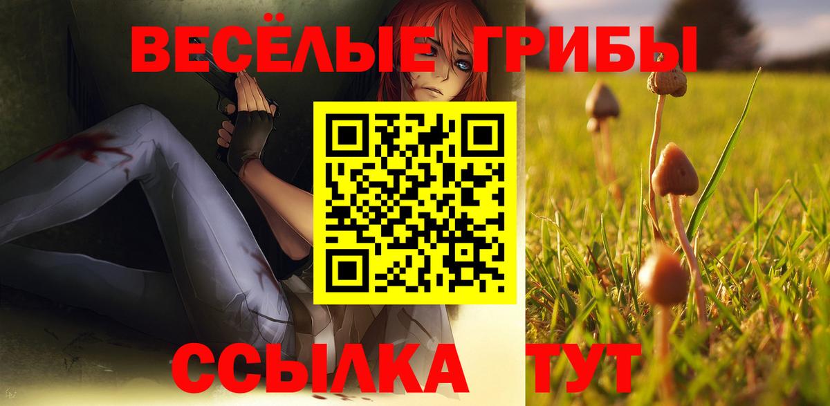 Орёл  Псилоцибиновые грибы Psilocybine cubensis  купить  цена  Вход с VPN 